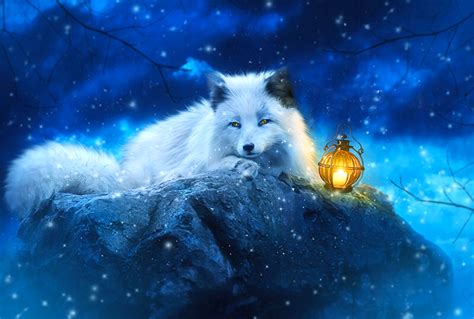 Blue Fox Wallpapers on WallpaperDog