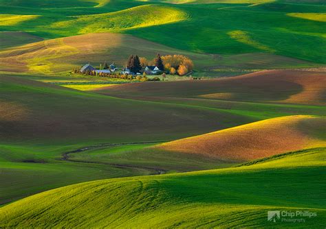 Springtime in the Palouse by Chip Phillips - Photo Cascadia