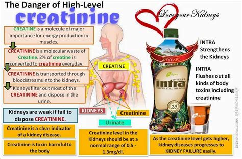 LIVE BETTER EVERYDAY: LOVE YOUR KIDNEY