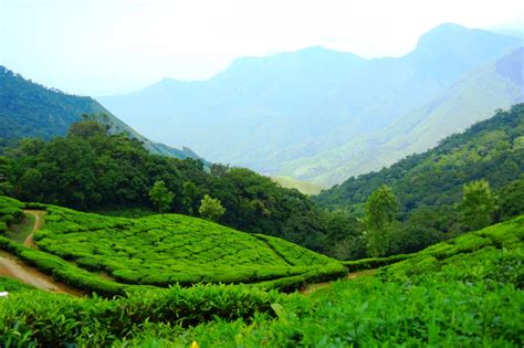 Top 5 Hill Stations in Kerala That Everyone Should Visit