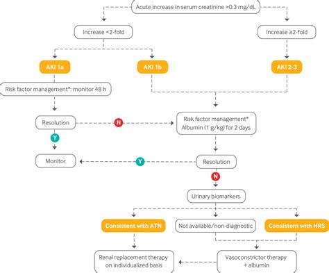 Hepatorenal syndrome: pathophysiology, diagnosis, and management | The BMJ