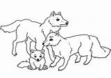 Beautiful wolves Family Coloring Page  Free Printable Pages sketch template
