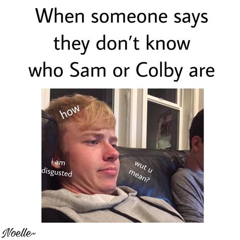 Have some memes too | Sam and Colby Amino