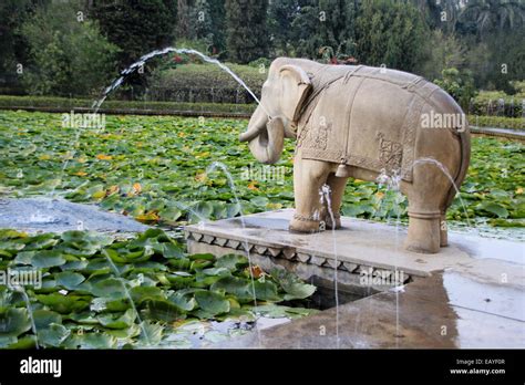 Lotus pond india hi-res stock photography and images - Alamy