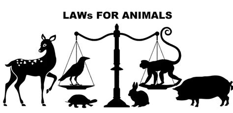 Animal right - Myth or Reality | Law column