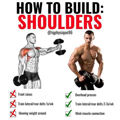 The 4-Week Dumbbell Workout Plan Part 4: Shoulders - GymGuider.com | Dumbbell workout plan ...