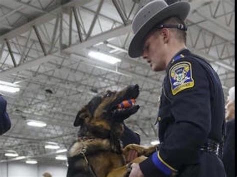 Troop C Announces Passing Of Decorated State Police Dog | Tolland, CT Patch