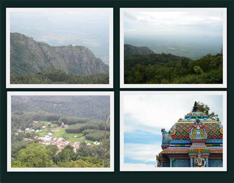 Yercaud Hills, Yercaud Hills Salem, Flora and Fauna in Yercaud