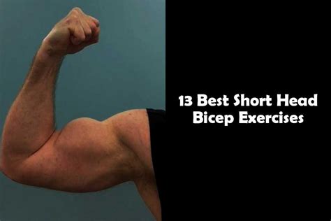 13 Best Short Head Bicep Exercises | Barbell | Dumbbell | Cable - Yes Strength