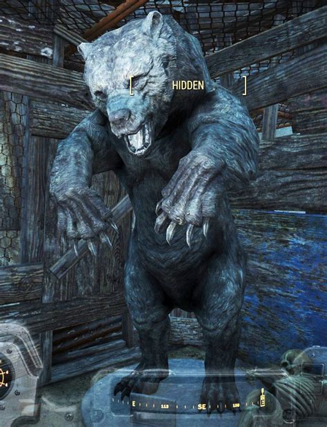 Skyrim bear spotted in Falout 4's DLC : skyrim