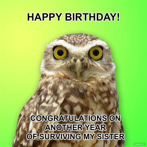 Happy Birthday Images Funny For Sister In Law - Infoupdate.org