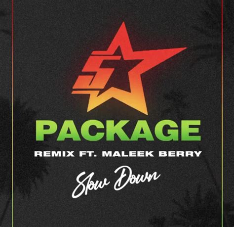 King Promise – Slow Down (Remix) ft Maleek Berry Mp3 Download | Remix, Songs, Original song