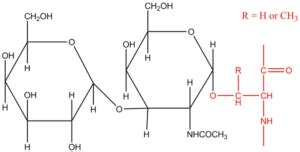 Saccharide Definition and Examples - Biology Online Dictionary