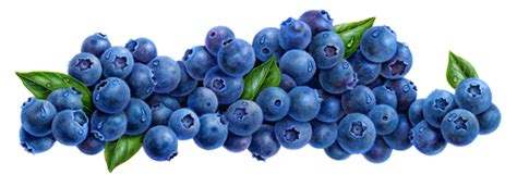 Download High Quality blueberry clipart border Transparent PNG Images - Art Prim clip arts 2019