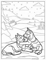 Husky Coloring Pages20  free Printable coloring Pages Cute sketch template