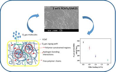 Epoxidized natural rubber/acid functionalized carbon nanotubes ...