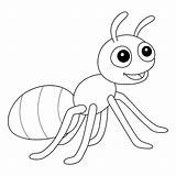 Página Para Colorear De Animales hormiga Niños  Vector Premium sketch template