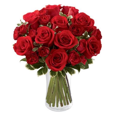 Red Romance Rose Bouquet at Send Flowers