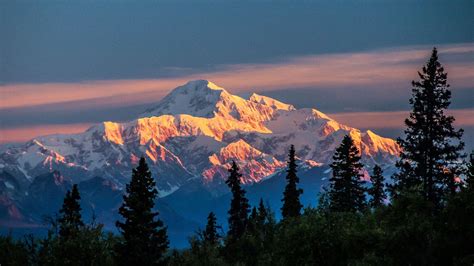 Sunrise on Denali - National Park Trips