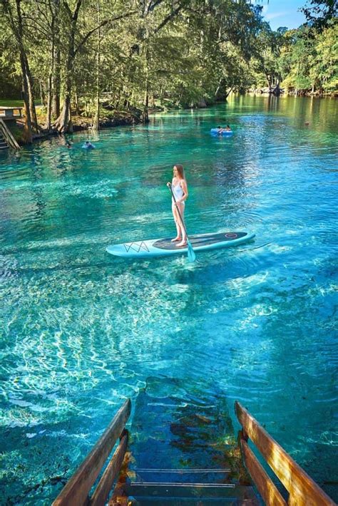 Tips For Ginnie Springs: A Perfect Florida Oasis - Florida Trippers