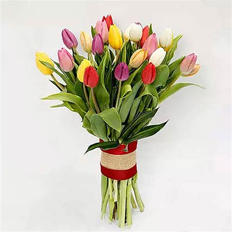 Online Twenty Five Vibrant Tulips Bunch Gift Delivery in Singapore - Ferns N Petals