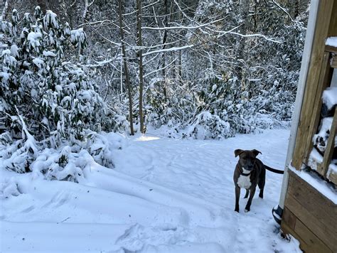 Snow Day in the NC Mountains | Peace Love Nursing