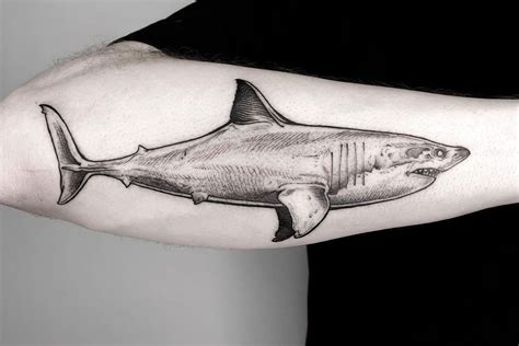 100 Magnificent Shark Tattoos ( The Biggest Gallery) - The Trend Scout