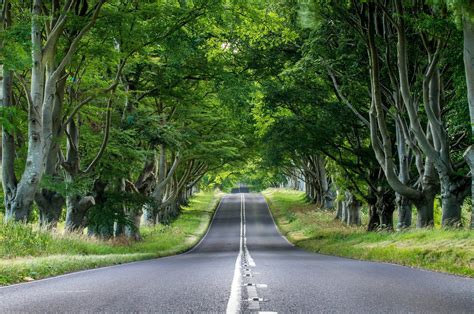 Green Road Wallpapers - Top Free Green Road Backgrounds - WallpaperAccess