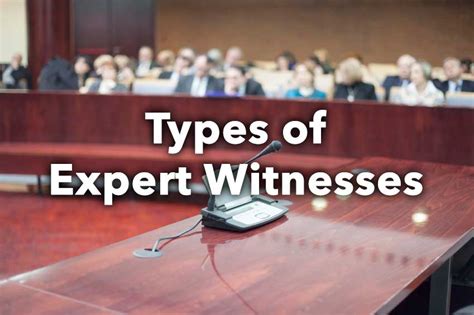 Inspecting the Experts | Examining Different Expert Witnesses