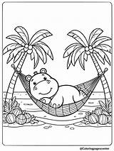 9 Hippo Coloring Pages  Free Printable PDFs sketch template