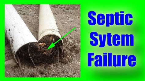 Septic Field Failure: Replacing Failing Septic Field - YouTube