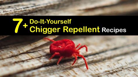 7+ Do-It-Yourself Chigger Repellent Recipes