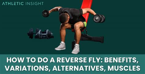 How to do a Reverse Fly: Benefits, Variations, Alternatives, Muscles ...