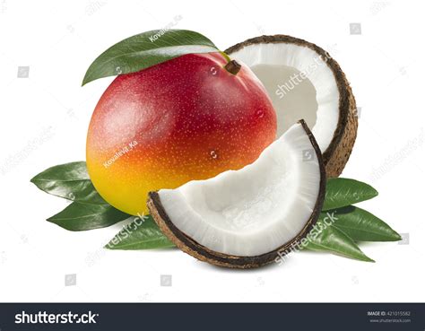 42,272 Mango Coconut Images, Stock Photos & Vectors | Shutterstock