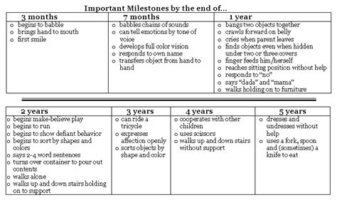 The Developing Child ~ Lesson Activities | The Human Spark | PBS