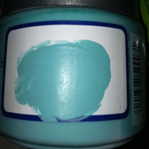 My new Tiffany Blue paint I had mixed at Lowes. It's perfect ...