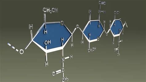 Chitin molecular structure formula Stock Photo by ©sciencepics 124933184