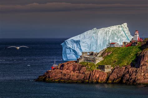 Massive Icebergs in Newfoundland and Labrador [watch]