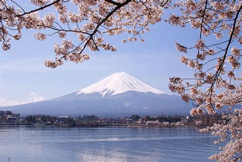 Mont Fuji : Excursion au départ de Tokyo | JRailPass