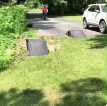 Fail Bike GIF - Fail Bike - Discover & Share GIFs