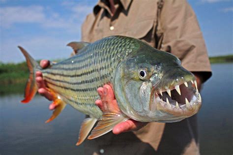 11 of the best fishing spots in South Africa