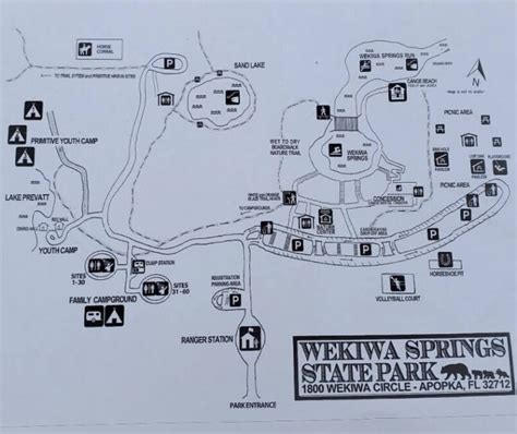 Wekiwa Springs State Park swimming near Orlando 🌴 Central Florida ...