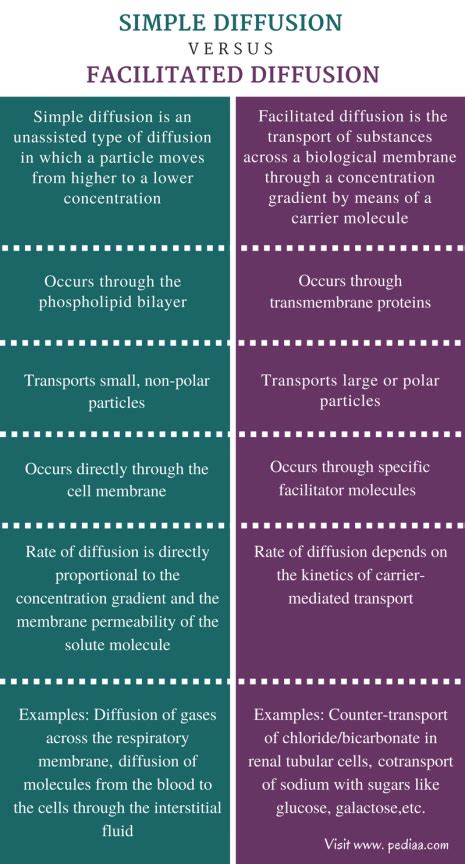 Facilitated Diffusion Examples