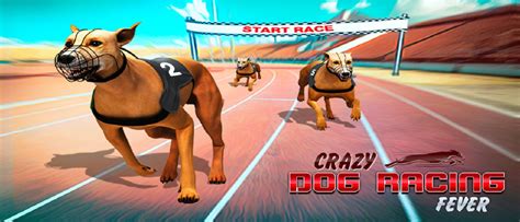 Crazy Dog Racing Fever : Dog Race 3D - Play Online Game on FreeGamesBoom