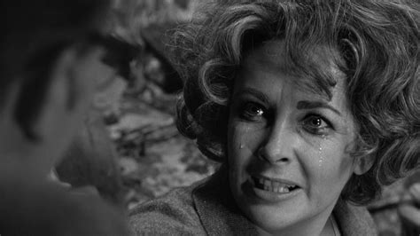 Who's Afraid of Virginia Woolf? (1966) - Backdrops — The Movie Database (TMDB)