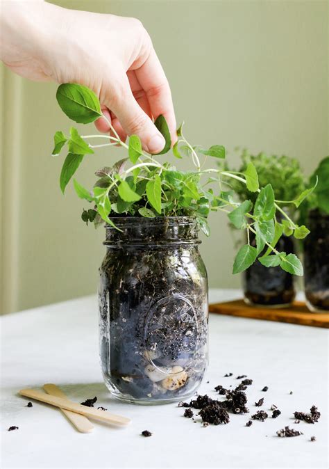 How To Make a Mason Jar Herb Garden | Hello Nest