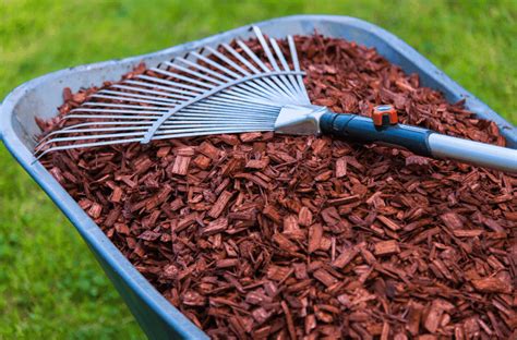 Mulch-What You Need To Know - ExperiGreen