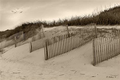 Sand Fences - Sepia Photograph by Brian Wallace | Fine Art America