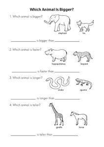 Worksheet Zoo Animals | Mardianafapet