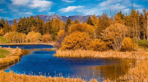 18 of the Best Places for Fall Foliage Around the West